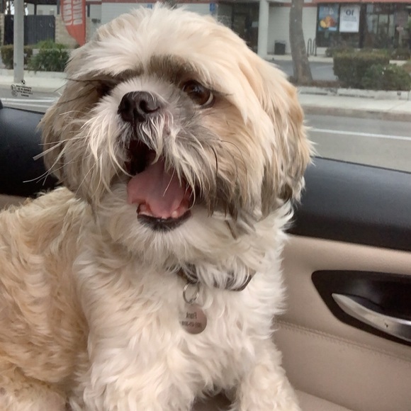 Meet your Posher, Tiffani - Picture 1 of 1